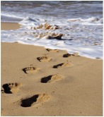 Footprints in the Sand; | TCM 5-Element Natural Inspirations for health
