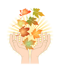 Sweet November’ in September! |  TCM 5-Element Natural Inspirations for health